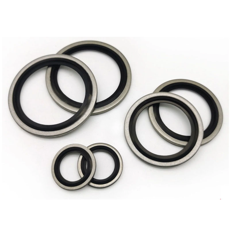 ตัวเองกลาง 304 สแตนเลส Dowty Seal Gasket NBR ยางผูกผูกผูก 0