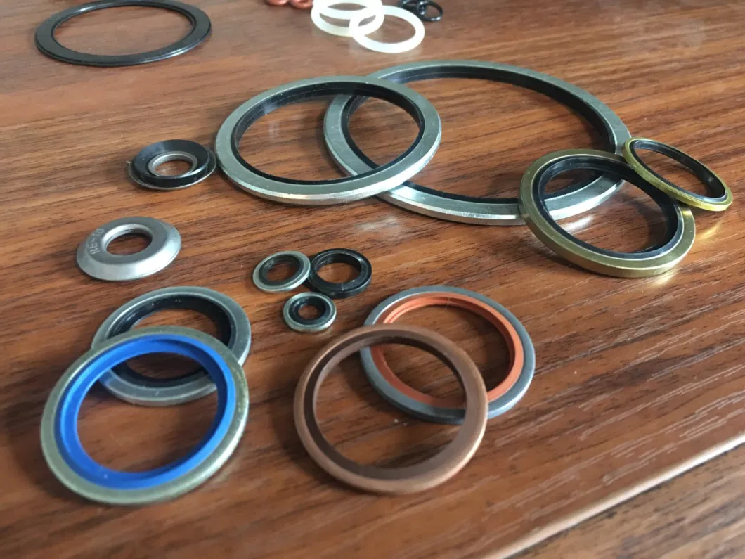 ตัวเองกลาง 304 สแตนเลส Dowty Seal Gasket NBR ยางผูกผูกผูก 2