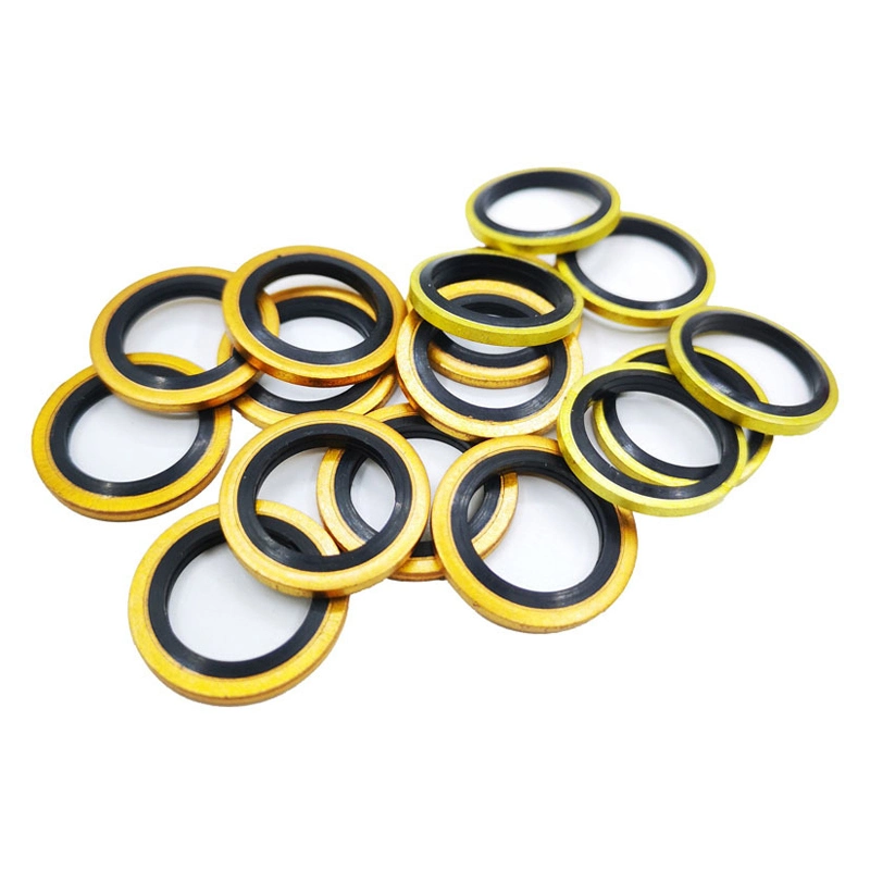 ตัวเองกลาง 304 สแตนเลส Dowty Seal Gasket NBR ยางผูกผูกผูก 6